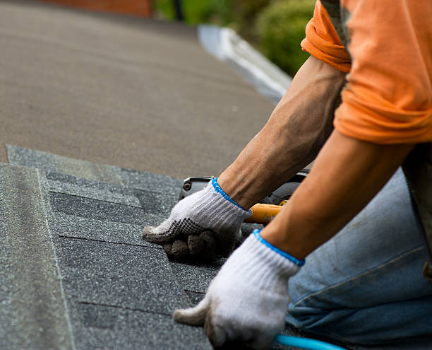 Quick and Trustworthy Emergency Roof Repair Services in Waseca, MN