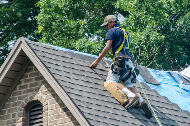 Best Residential Roofing Contractor  in Waseca, MN